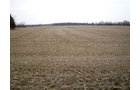 Property photo 1 - 160 Acres in 4 Tracts - Building Potential and Cropland